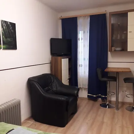 Ap 1 Im Zentrum Steyr, Bestrooms Eu Apartment *