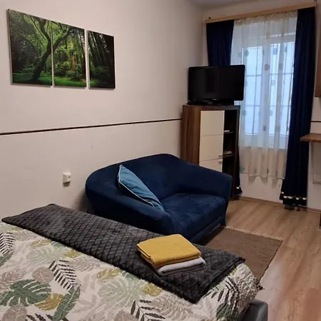 Ap 1 Im Zentrum Steyr, Bestrooms Eu דירה *