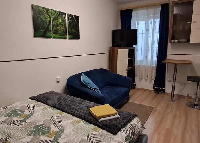 Ap 1 Im Zentrum Steyr, Bestrooms Eu Διαμέρισμα *